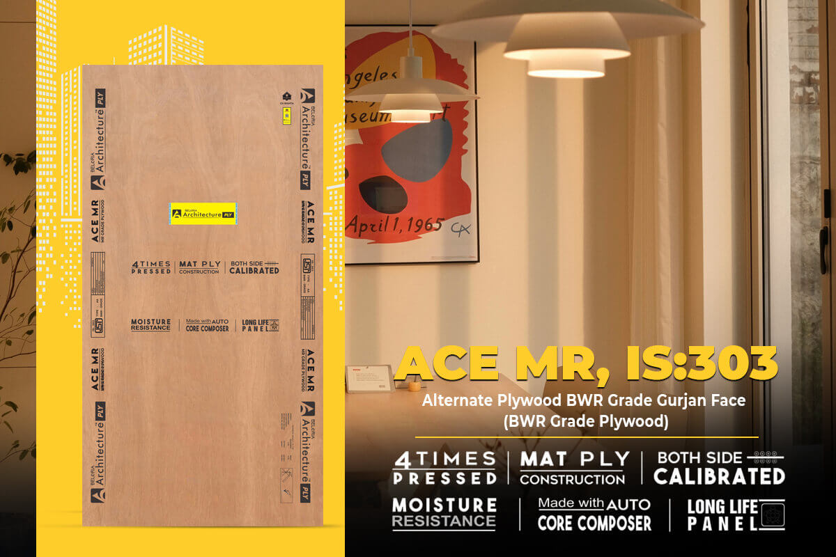 Ace Mr Alternate Plywood